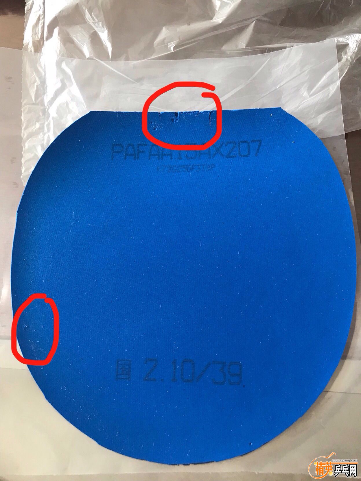 image.jpg