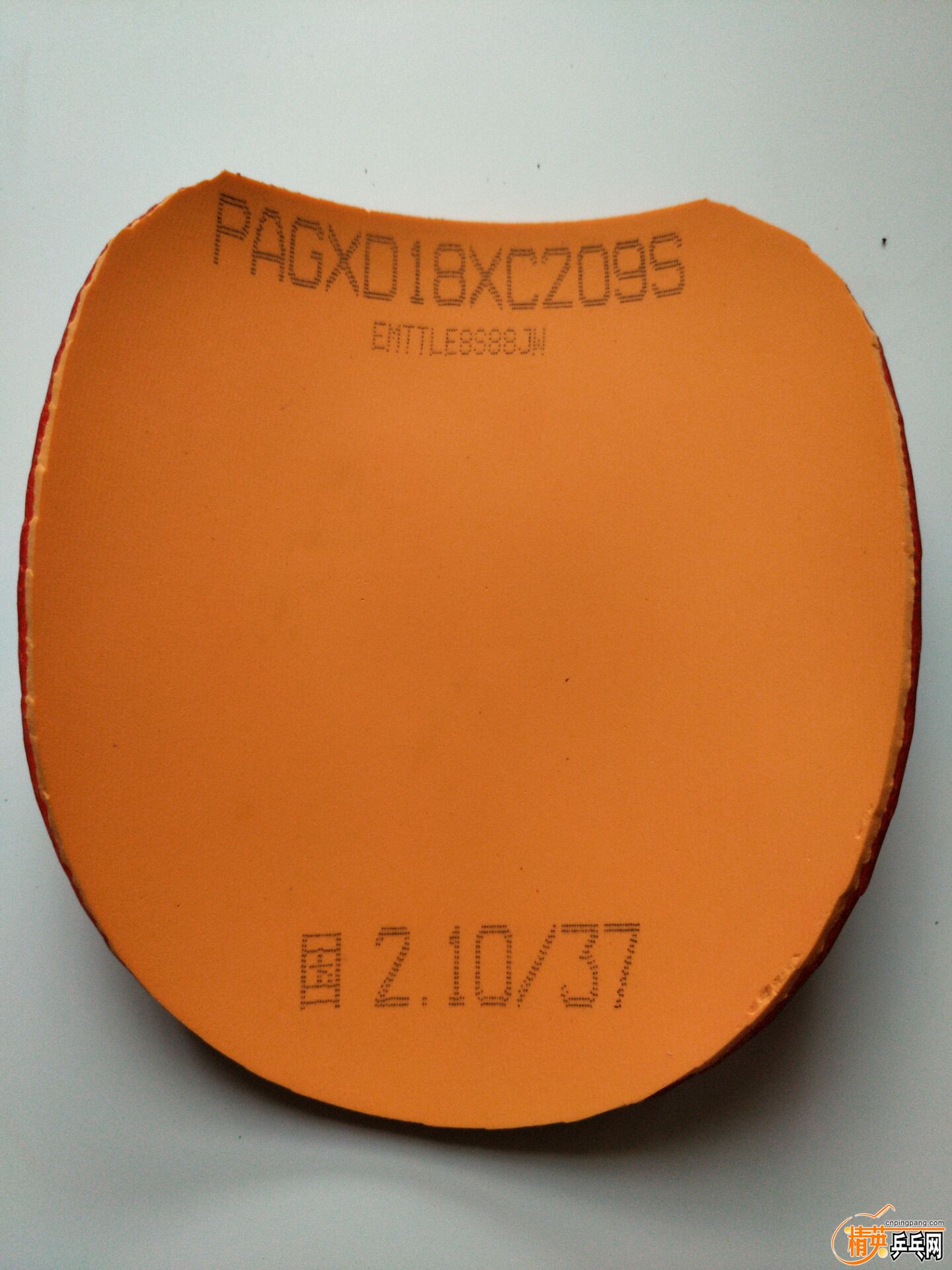 183CC1661174E12B9F3AF2F6590EE148.jpg