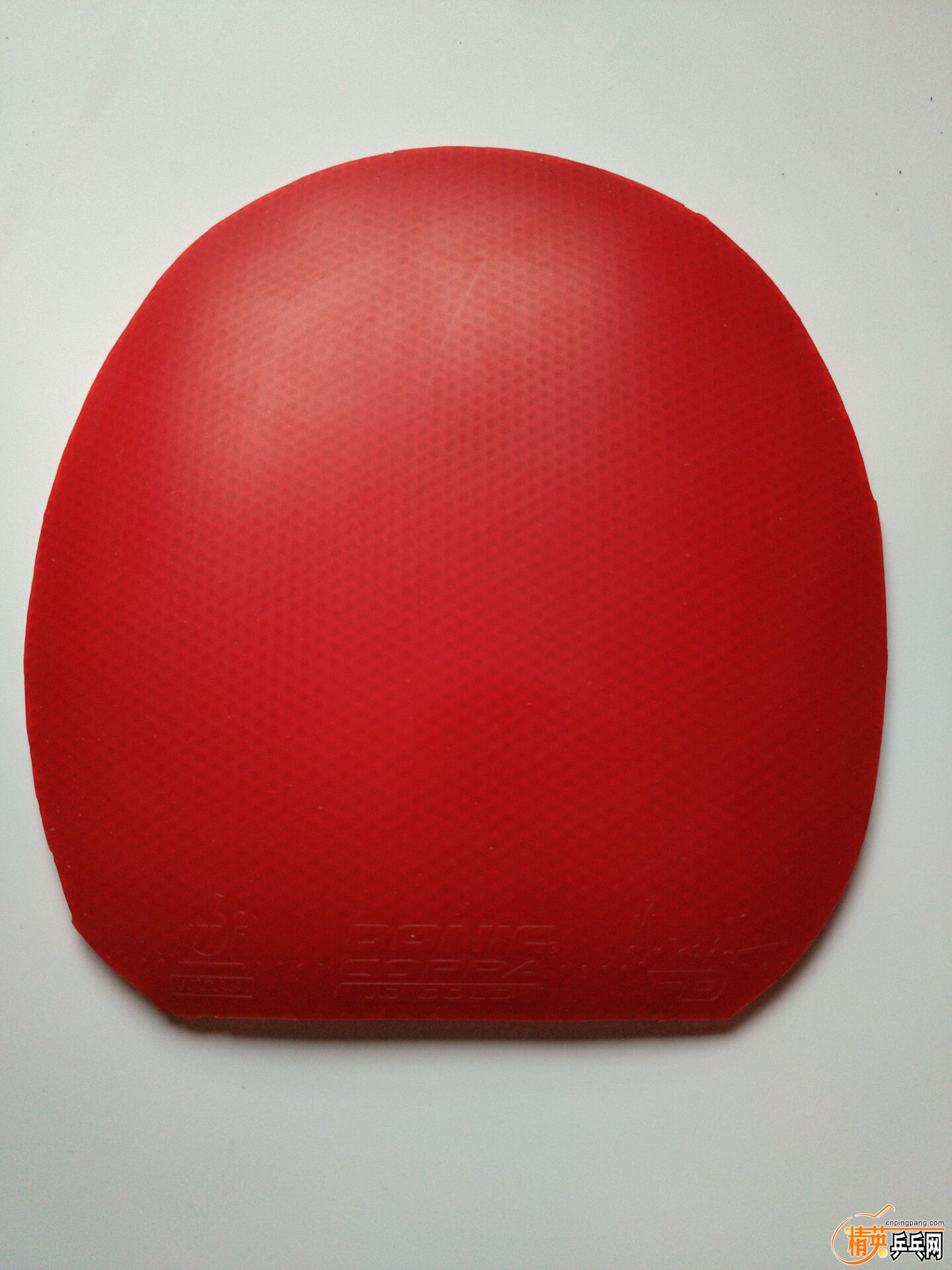 6D20AFD7AE85849A080FD6047F489A94.jpg
