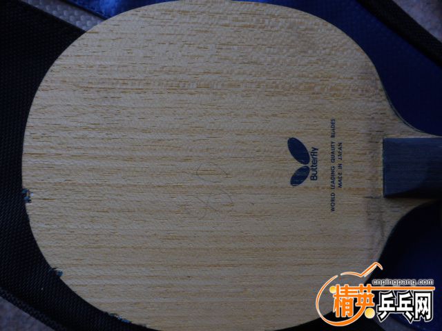 P1050139.JPG