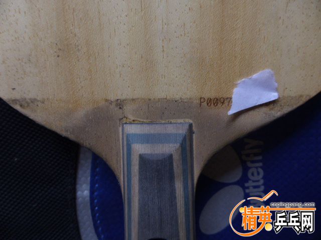 P1050164.JPG