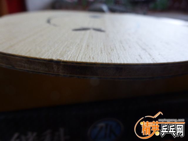 P1050307.JPG