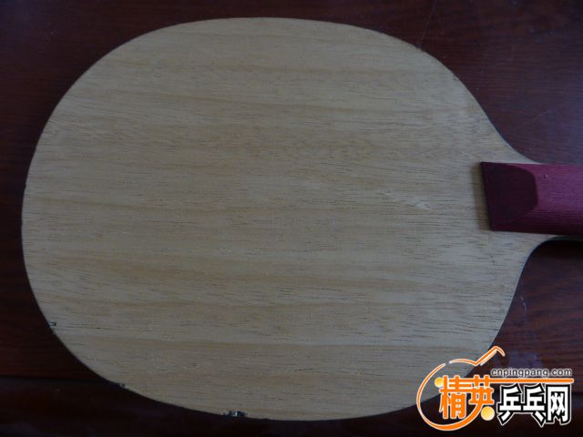 P1050451.JPG