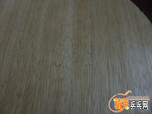 P1050458.JPG