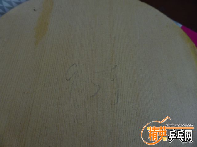 P1050481.JPG