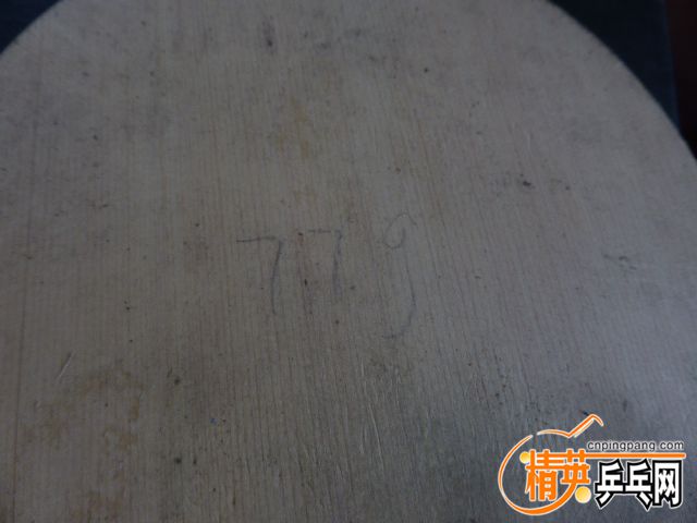 P1050507.JPG