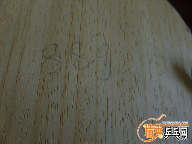 P1050540.JPG