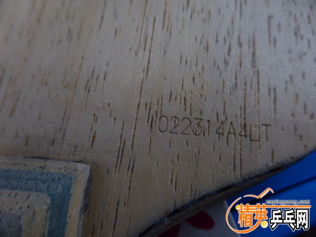 P1050545.JPG