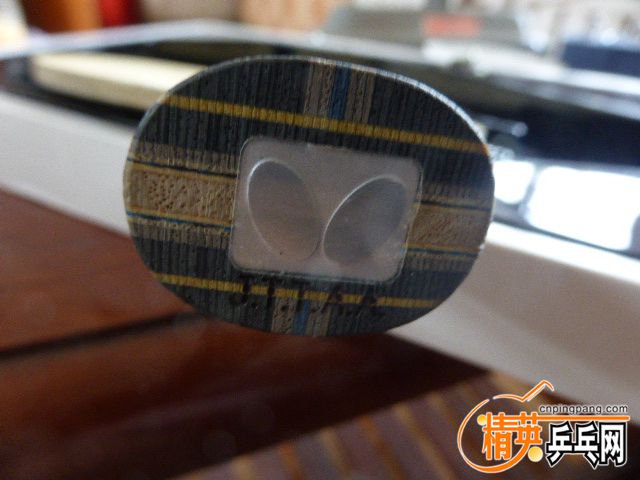 P1050576.JPG
