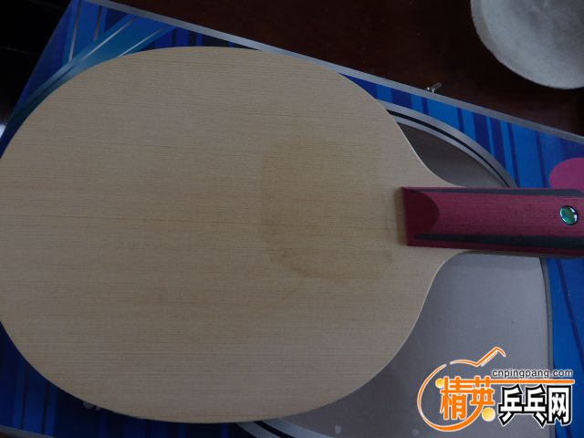 P1050588.JPG