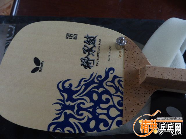 P1050795.JPG
