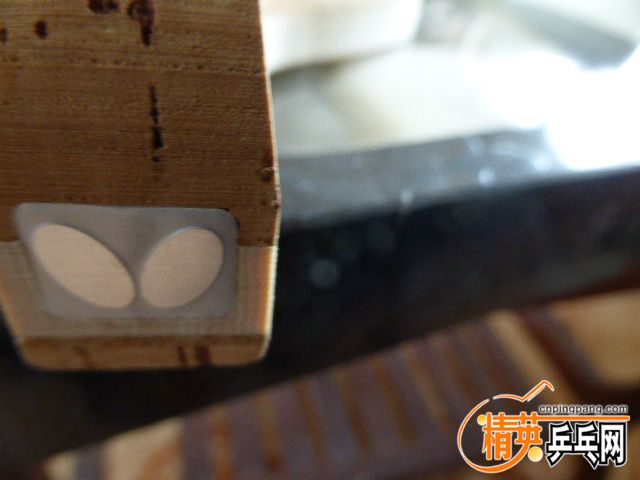 P1050802.JPG