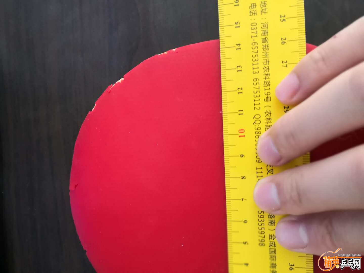 228839191325652848.jpg