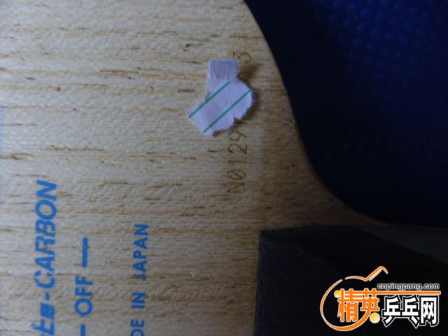 P1050222.JPG