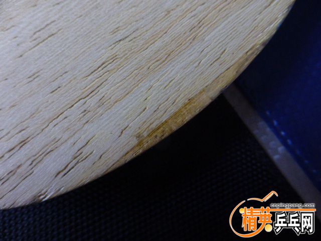 P1050229.JPG