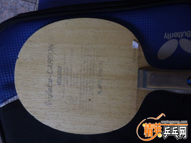 P1050231.JPG