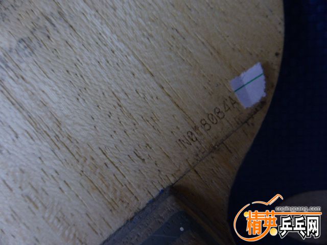 P1050232.JPG