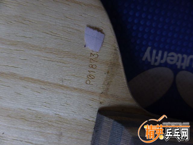 P1050254.JPG