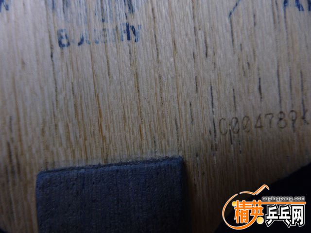 P1050262.JPG