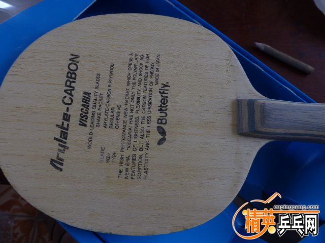 P1050634.JPG
