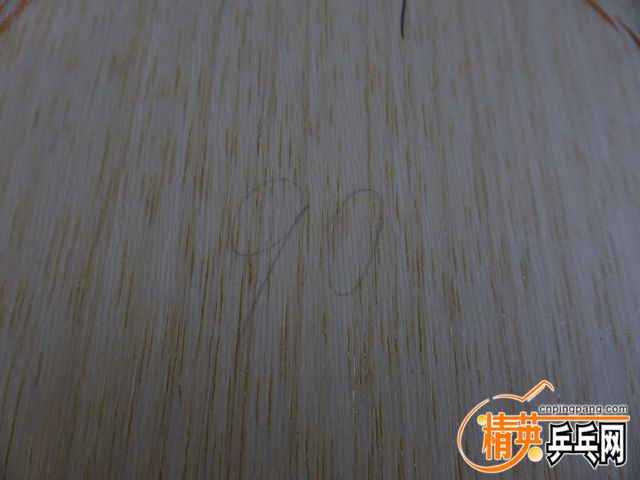 P1050677.JPG
