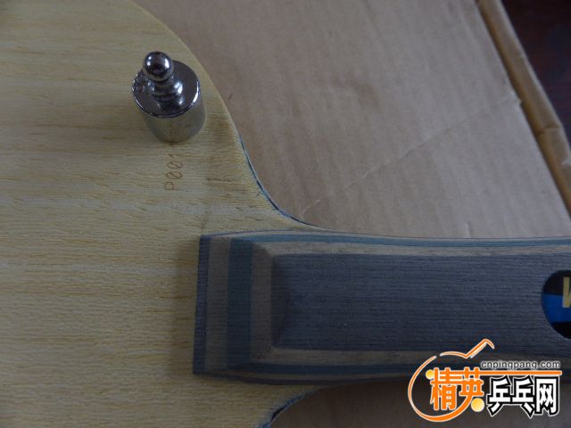 P1050679.JPG