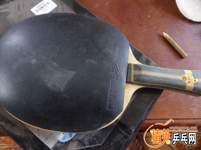 P1050784.JPG