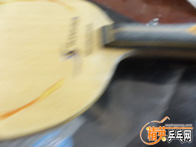 P1050788.JPG