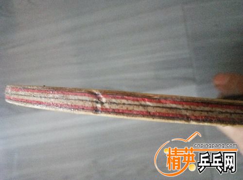 P80710-180243.jpg