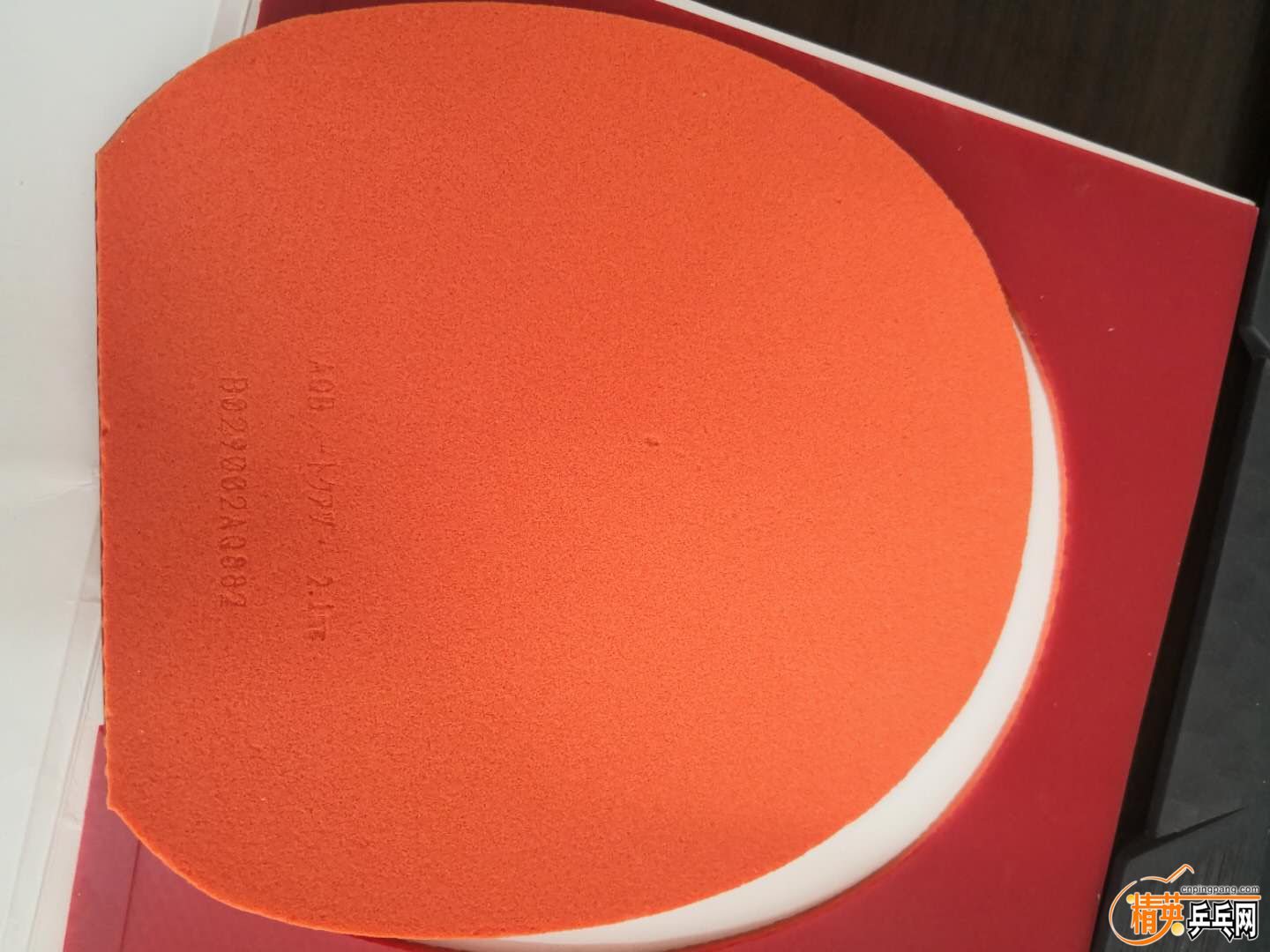 95354808220335922.jpg