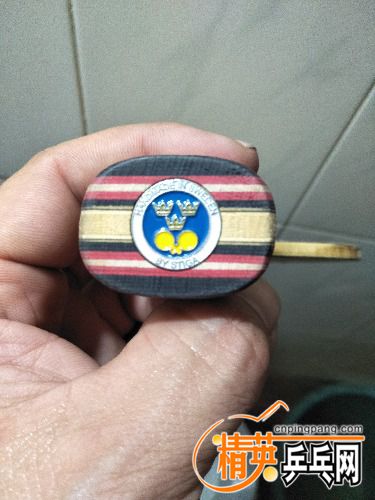 IMG20180714185036.jpg