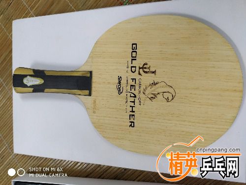 IMG_20180721_184645.jpg