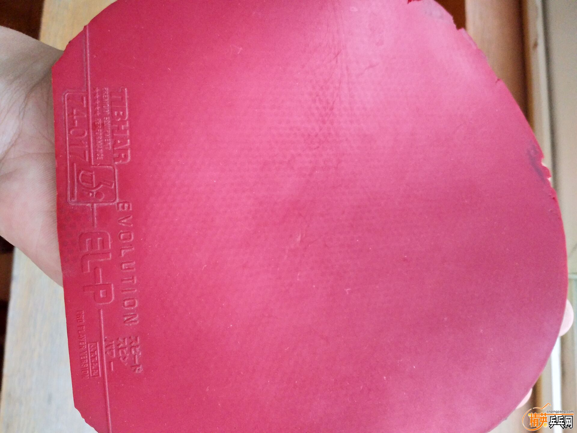 D42D99A0F60275BDFF578A5E004E6FAC.jpg