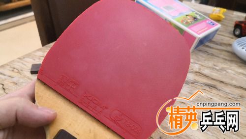 IMG_20180728_224842.jpg