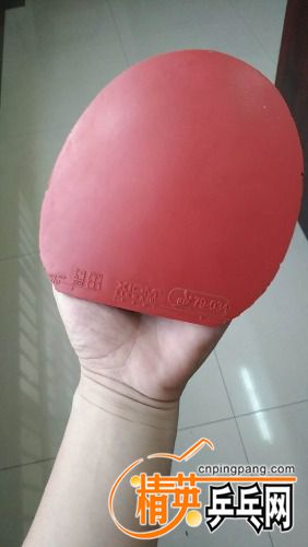 mmexport1533448800109.jpg