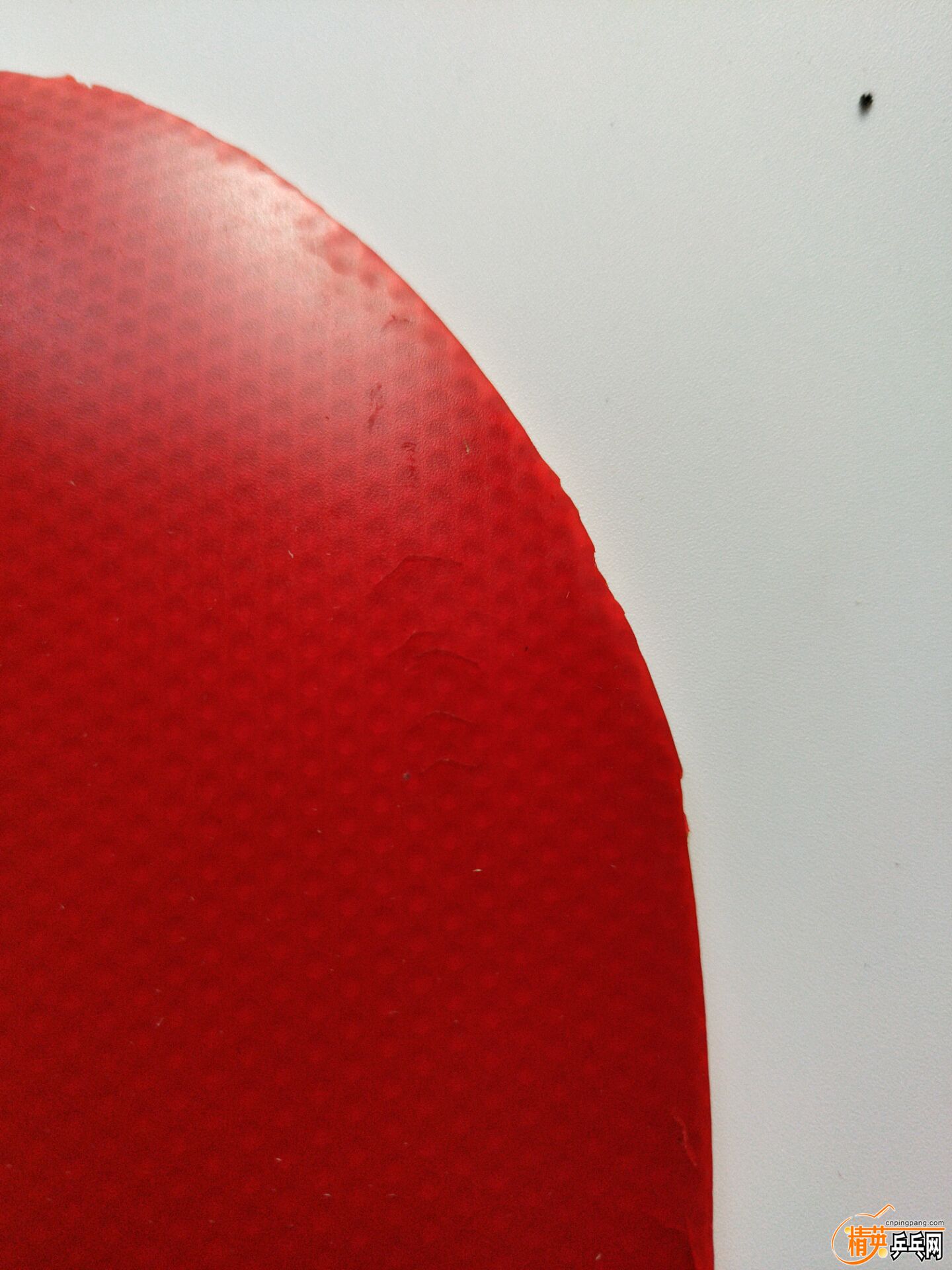 5A90E6341D9987F1E7C3968B170ED4DB.jpg