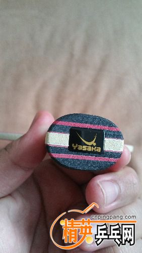 20180808_113816.jpg