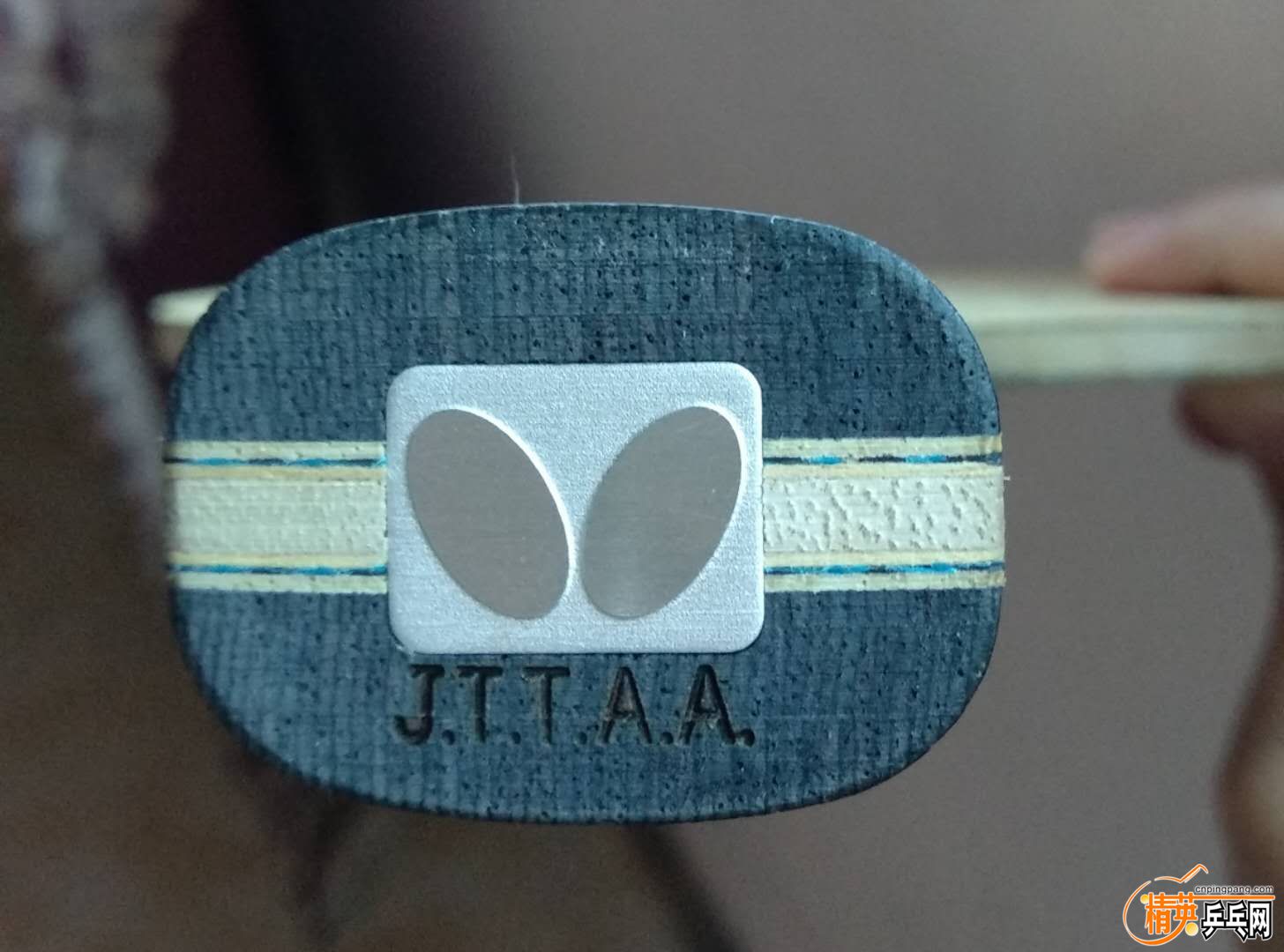mmexport1533815299176.jpg