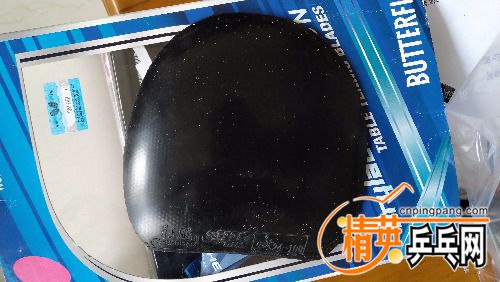 IMG_20180811_120850R.jpg