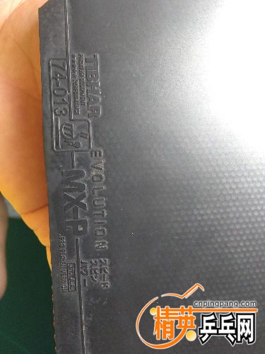 IMG_20180811_151236.jpg