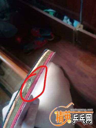qq_pic_merged_1533886392772.jpg