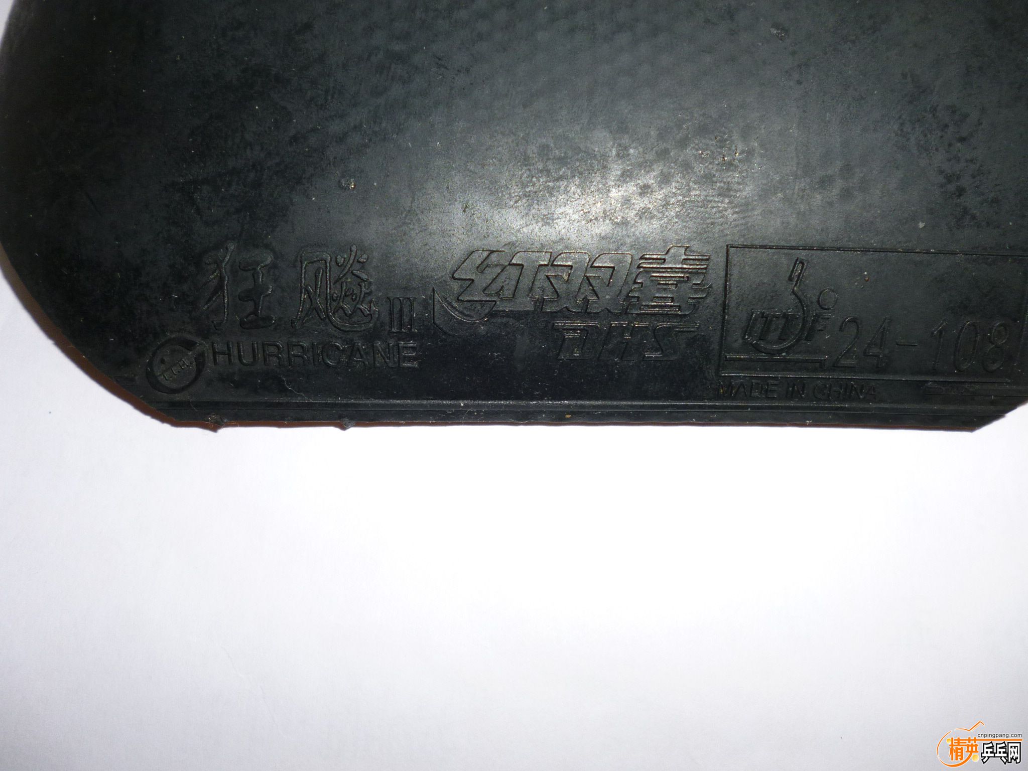 P1050210.JPG