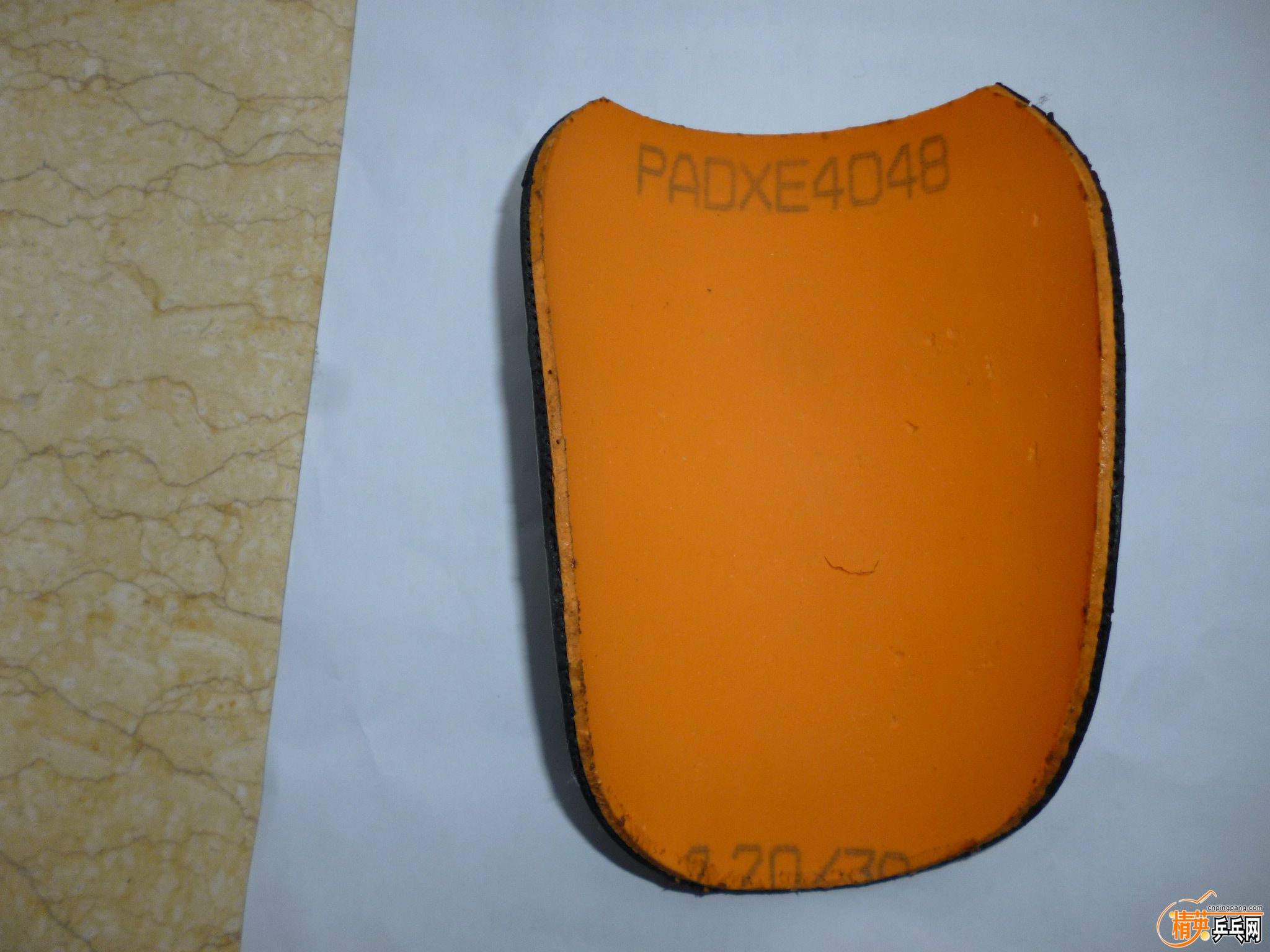 P1050211.JPG