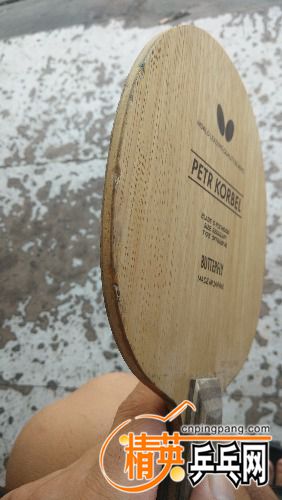 IMG20180815130406.jpg