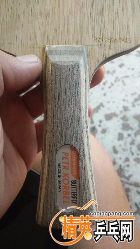 IMG20180815130414.jpg