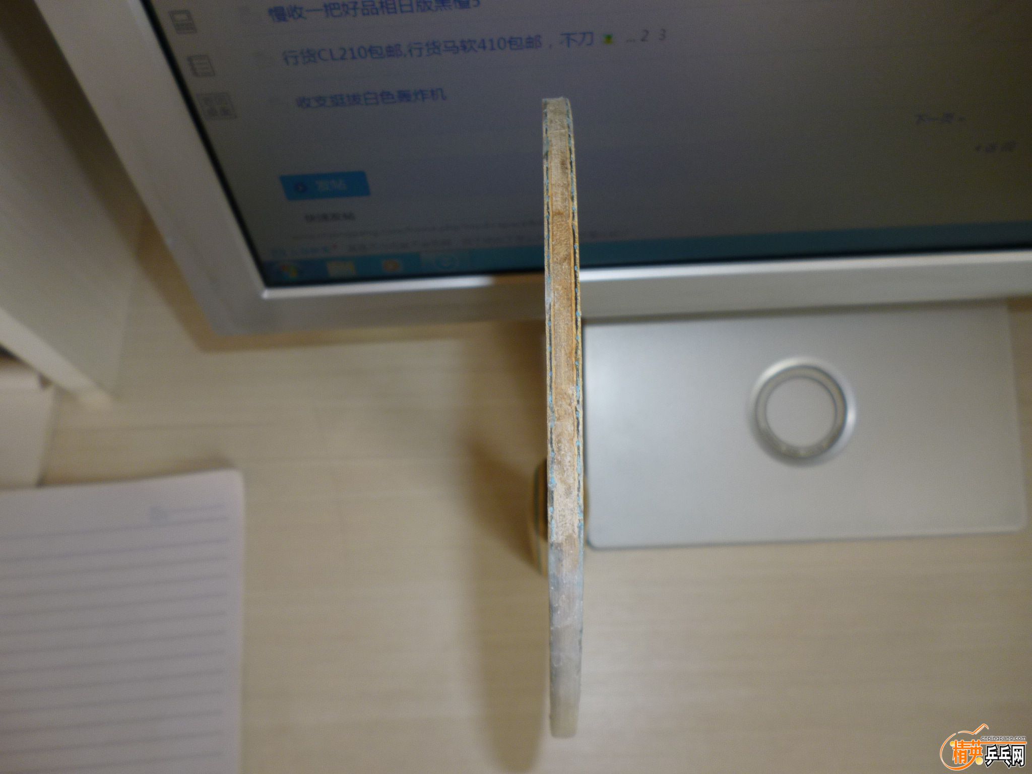 P1050236.JPG
