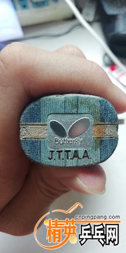 IMG_20180816_120431.jpg