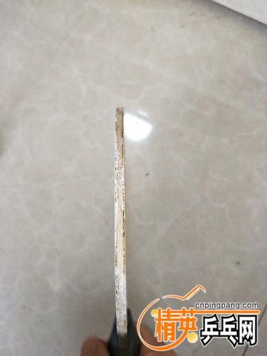 IMG20180820065704.jpg