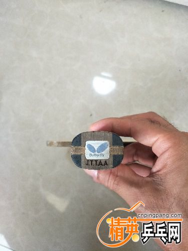 IMG20180820065613.jpg