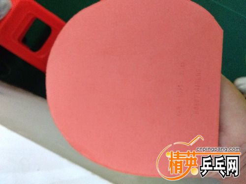 IMG_20180825_184016.jpg